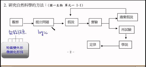 科學方法步驟